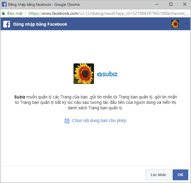 Cấp quyền Subiz kết nối tới Fanpage